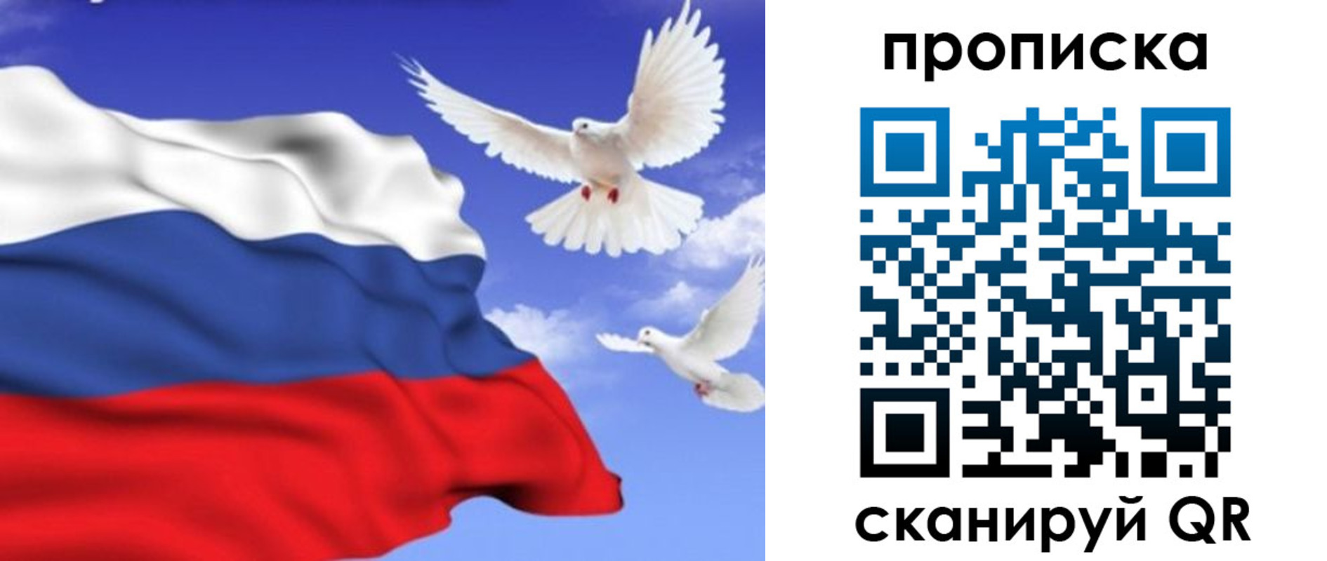 временная регистрация гарантия в Каргополе